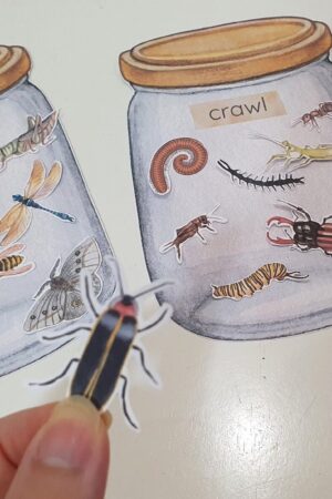 Montessori Insect Sorting and Matching Game Explore the World of Bugs