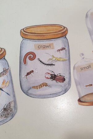 Montessori Insect Sorting and Matching Game Explore the World of Bugs