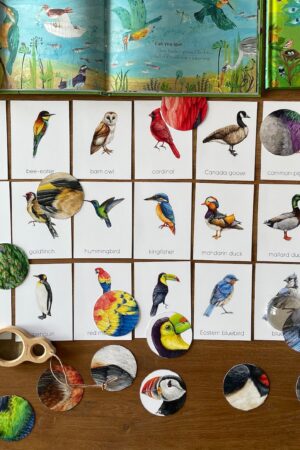 Montessori Bird Flashcards Pattern Matching and Bird Identification for Preschoolers