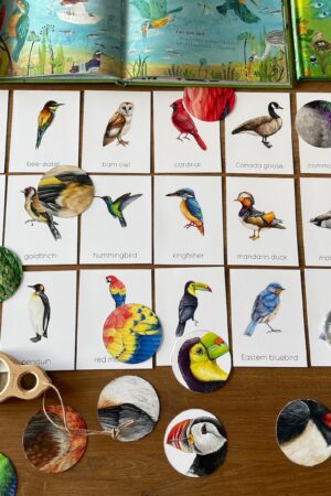 Montessori Bird Flashcards Pattern Matching and Bird Identification for Preschoolers