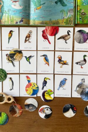 Montessori Bird Flashcards Pattern Matching and Bird Identification for Preschoolers