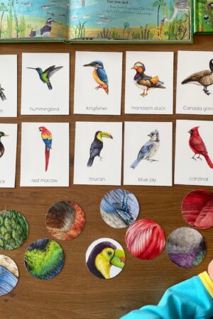 Montessori Bird Flashcards Pattern Matching and Bird Identification for Preschoolers