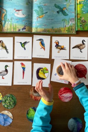 Montessori Bird Flashcards Pattern Matching and Bird Identification for Preschoolers