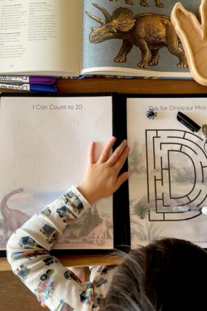 Ultimate Dinosaur Activity Extravaganza Printable Fun for Young Explorers