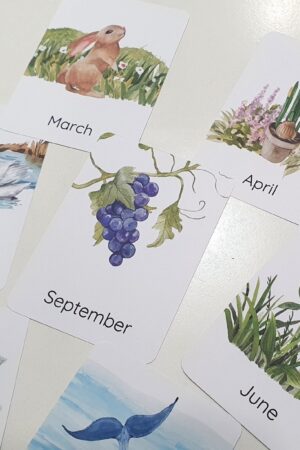 Nature's Seasonal Journey Months of the Year Flashcards for Early Learning