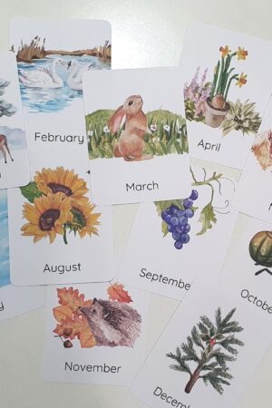 Nature's Seasonal Journey Months of the Year Flashcards for Early Learning