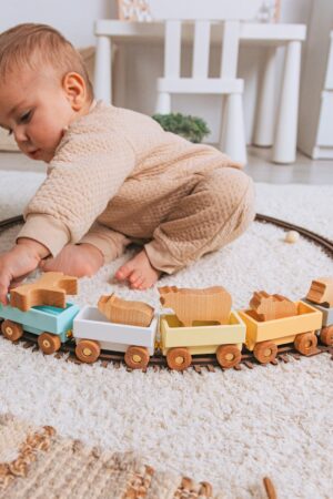 Personalized Wooden Freight Train with Farm Animals for Toddlers Sensory Play, Birthday, Christmas, and Pretend Play