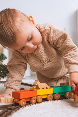 Personalized Wooden Freight Train with Animal Figurines A Delightful Toy for Toddlers and Kids