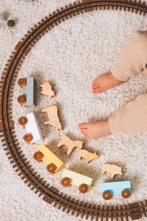 Personalized Colored Freight Train With Dino Wooden Toys For Toddlers 1 2 3 Year Old Custom Train With Name First Birthday Gift for Boys